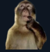 1769.png
