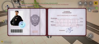 Screenshot_2026-05-30-18-17-40-111_com.russia.game.jpg
