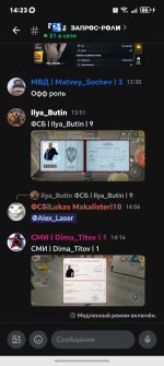 Screenshot_20260713_142300_com_lolka_MainActivity.jpg