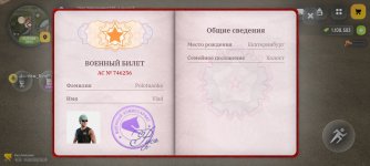 243.jpg