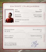 339.jpg