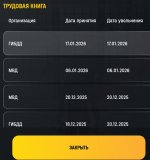 Screenshot_20260118_101850_com_russia_game_Samp_edit_813176641888024 (1) (1).jpg