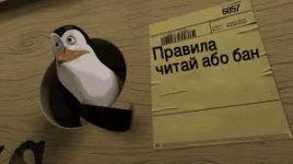 1773548236339.jpeg