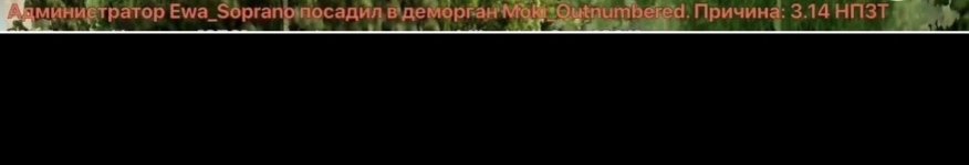 IMG_2967.jpeg