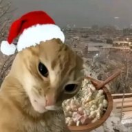 Andrey_Alexandrovich