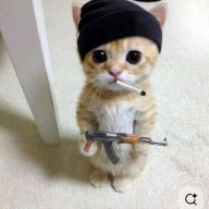 Omar_Ahmedli