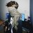 Dmitry_Elegant